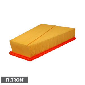 FILTRON Filtr powietrza AP186/1