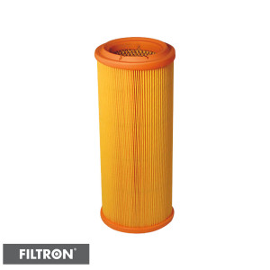 FILTRON Filtr powietrza AR234/3