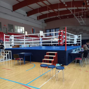 Profesjonalny Ring Bokserski Podestowy – Zawody Gale - Wyprodukowany w Polsce