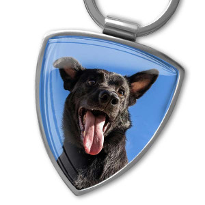 Personalisierter Schlüsselanhänger Hund in Schildform mit Foto und beidseitigem Druck – Liebevolles Geschenk für Hundeliebhaber - auto4style