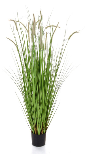 Dogtail with Pot Artificial Grass Plant 150 cm
