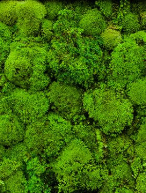 Ballmoss 1 cub m Artificial Moss Plant