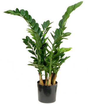 Zamio Zami Base Flame Retardant Artificial Tree Plant 90 cm