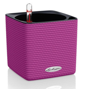LECHUZA CUBE Color 14 Blackberry Poly Resin Table Self-watering Planter with Water Level Indicator H14 L14 W14 cm, 1.4L