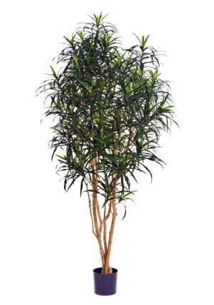 Dracaena Anita Artificial Tree Plant 150 cm