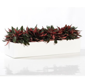 IDEALIST | Fibrestone Matt White Balcony Slim Low XS Rectangle W15 H9.5 L40 cm Planter by Idealist Premium, 6L