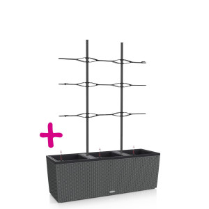 Set of LECHUZA TRIO Cottage 30 Granite Poly Resin Floor Self Watering Planter with Substrate L100 W32 H34 cm, 3x14L + Trellis