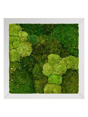 Moss Painting Superline Square 30% ball- and 70% plattmoss Large W70 H5 L70 cm
