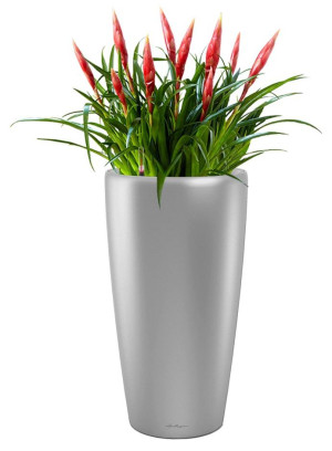 Potted Blooming Vriesea Astrid House Plant in LECHUZA RONDO Silver Metallic Self-watering Planter, Total Height 90 cm