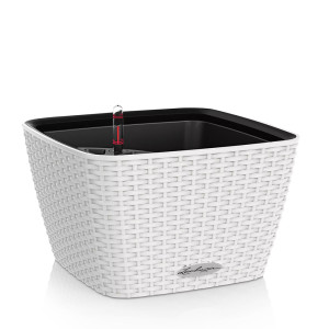 LECHUZA BACINO Cottage 30 White Floor Self-watering Planter Plant Pot with Substrate and Water Level Indicator L30 W30 H18 cm, 6L