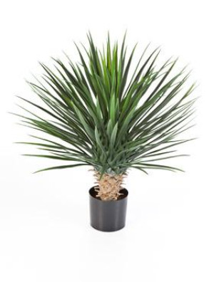 Yucca Rostrata Artificial Tree Plant 80 cm