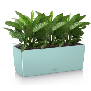 Potted Aglaonema Stripes House Plant in LECHUZA BALCONERA Color Pastel Green Self-watering Planter, Total Height 45 cm