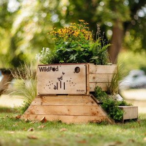 WildPod 2-in-1 Outdoor Large Brown Stain Trough Planter and Wildlife House with Topsoil, Deadwood and Reservoir Clay by Bio Scapes, L115 W57 H55 cm