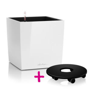 Set of White High-Gloss LECHUZA CUBE 40 Poly Resin Floor Self Watering Planter with Substrate L40 W40 H40 cm, 31 litres Cap + Coaster