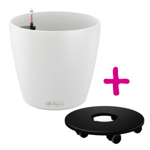 Set of LECHUZA CLASSICO Color 43 White Poly Resin Floor Self Watering Planter with Substrate D43 H40 cm, 33 litres Cap + Coaster