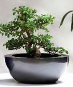 Christina Traditional Bowl GRP RAL H16 D40 cm Planter, 20.1L