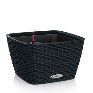 LECHUZA BACINO Cottage 30 Graphite Black Floor Self-watering Planter Plant Pot with Substrate and Water Level Indicator L30 W30 H18 cm, 6L