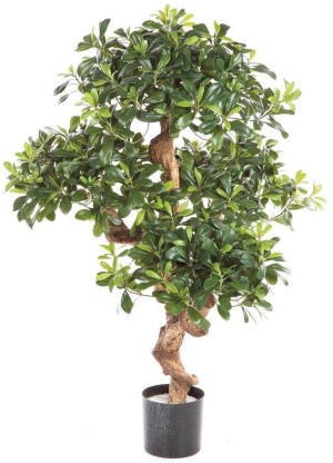 Phytosporum Mountain Artificial Tree Plant 120 cm