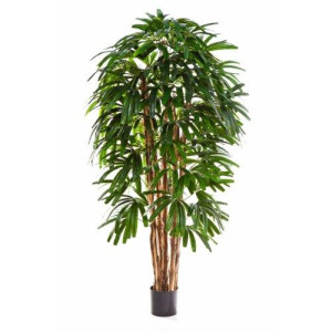 Rhapis Palm Artificial Tree Plant 210 cm