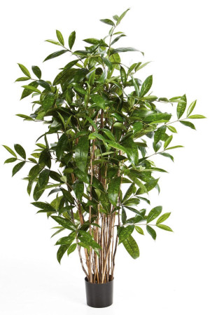 Dracaena Surculosa Artificial Tree Plant 120 cm