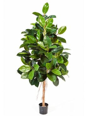Ficus Elastica Artificial Tree Plant 180 cm