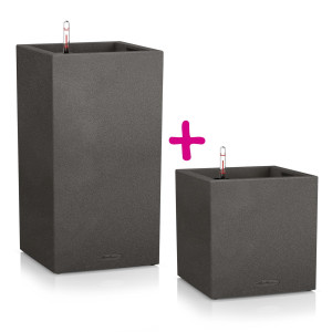 Set of two LECHUZA CANTO Stone Graphite Black Low and High Self Watering Planters: L30 W30 H30 cm, 12 litres Cap + L30 W30 H56 cm, 29 litres Cap