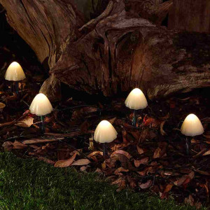Forest Mushroom Premium Outdoor Solar Garden Lights Warm White, IP44 (Set Of 12)