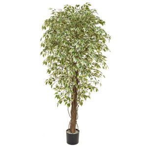 Ficus Liana Variegated Artificial Tree Plant 180 cm