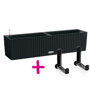 Set of Graphite Black LECHUZA BALCONERA Cottage 80 Poly Resin Window Box Self Watering Planter L80 W19 H19 cm, 12 litres Cap + Black Balcony Brackets