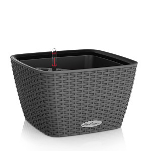 LECHUZA BACINO Cottage 30 Granite Floor Self-watering Planter Plant Pot with Substrate and Water Level Indicator L30 W30 H18 cm, 6L