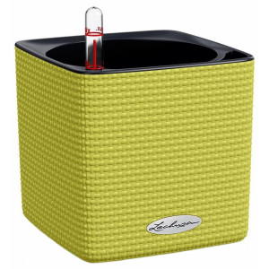 LECHUZA CUBE Color 16 Pistachio Poly Resin Table Self-watering Planter with Water Level Indicator H16 L17 W17 cm, 1.8L