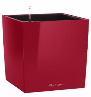 LECHUZA CUBE 40 Red High-gloss Poly Resin Floor Self-watering Planter with Substrate and Water Level Indicator H40 L40 W40 cm, 64L