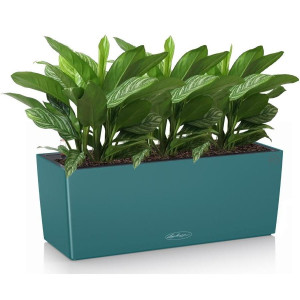 Potted Aglaonema Stripes House Plant in LECHUZA BALCONERA Color Petrol Blue Self-watering Planter, Total Height 45 cm