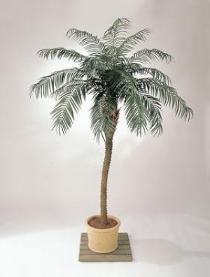 Palm Artificial Tree Plant 225 cm