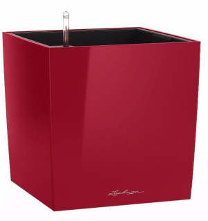LECHUZA CUBE 50 Red High-gloss Poly Resin Floor Self-watering Planter with Substrate and Water Level Indicator D50 H50 L50 W50 cm, 98L