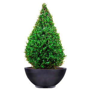 IDEALIST | Dish Style Smooth Black Garden Bowl Planter, Outdoor Plant Pot by Idealist Lite D45 H20 cm, 32L