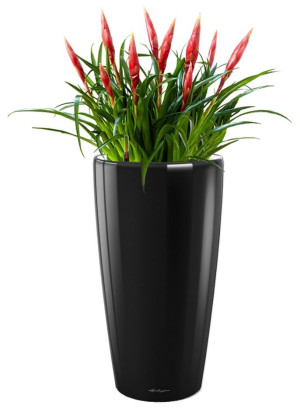 Potted Blooming Vriesea Astrid House Plant in LECHUZA RONDO Black High Gloss Self-watering Planter, Total Height 90 cm