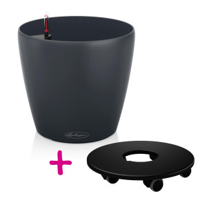 Set of LECHUZA CLASSICO Color 43 Slate Poly Resin Floor Self Watering Planter with Substrate D43 H40 cm, 33 litres Cap + Coaster