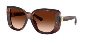 Dolce & Gabbana Okulary przeciwsłoneczne DG4495