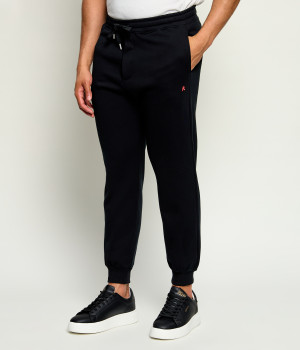 Replay Spodnie dresowe | Regular Fit