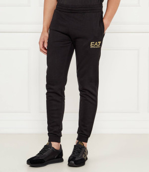 EA7 Spodnie dresowe | Regular Fit