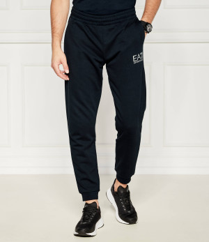 EA7 Spodnie dresowe | Regular Fit