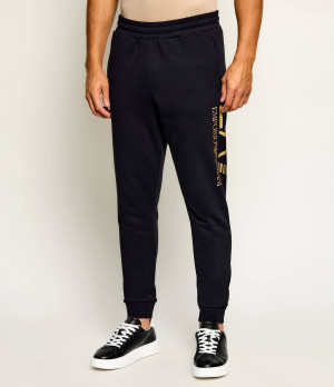 EA7 Spodnie dresowe | Regular Fit