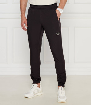 EA7 Spodnie dresowe | Regular Fit