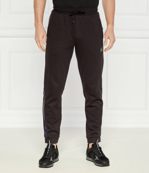 EA7 Spodnie dresowe | Regular Fit