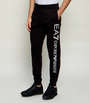 EA7 Spodnie dresowe | Regular Fit
