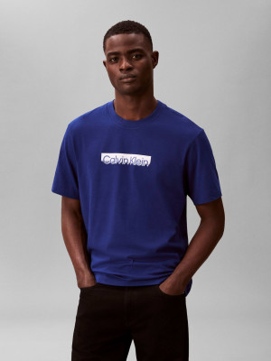 Calvin Klein T-shirt | Regular Fit