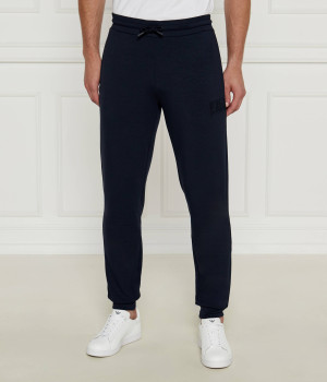 EA7 Spodnie dresowe | Regular Fit