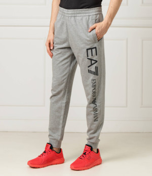 EA7 Spodnie dresowe | Regular Fit