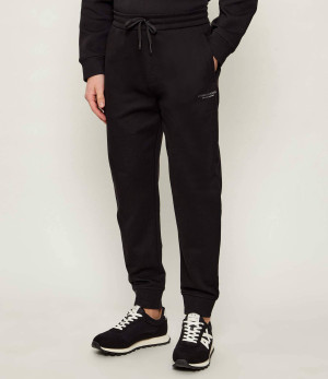 Armani Exchange Spodnie dresowe | Regular Fit
